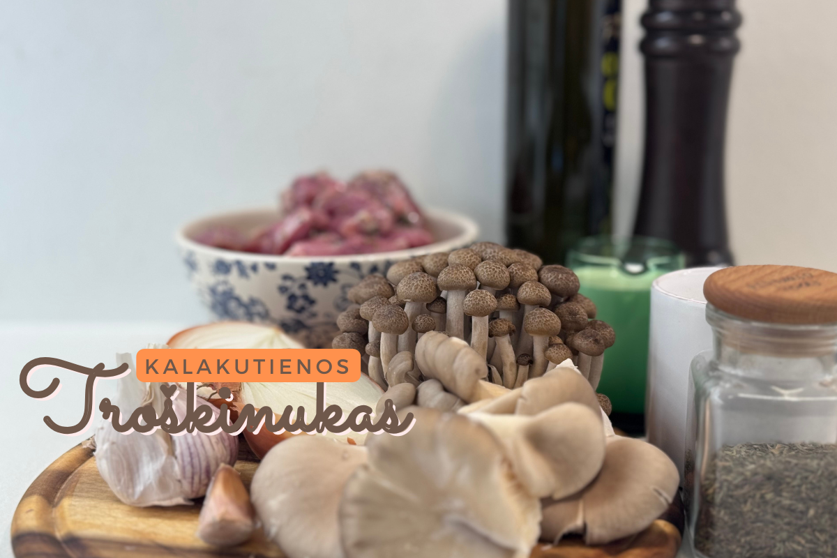 Kalakutienos troškinukas su grybais
